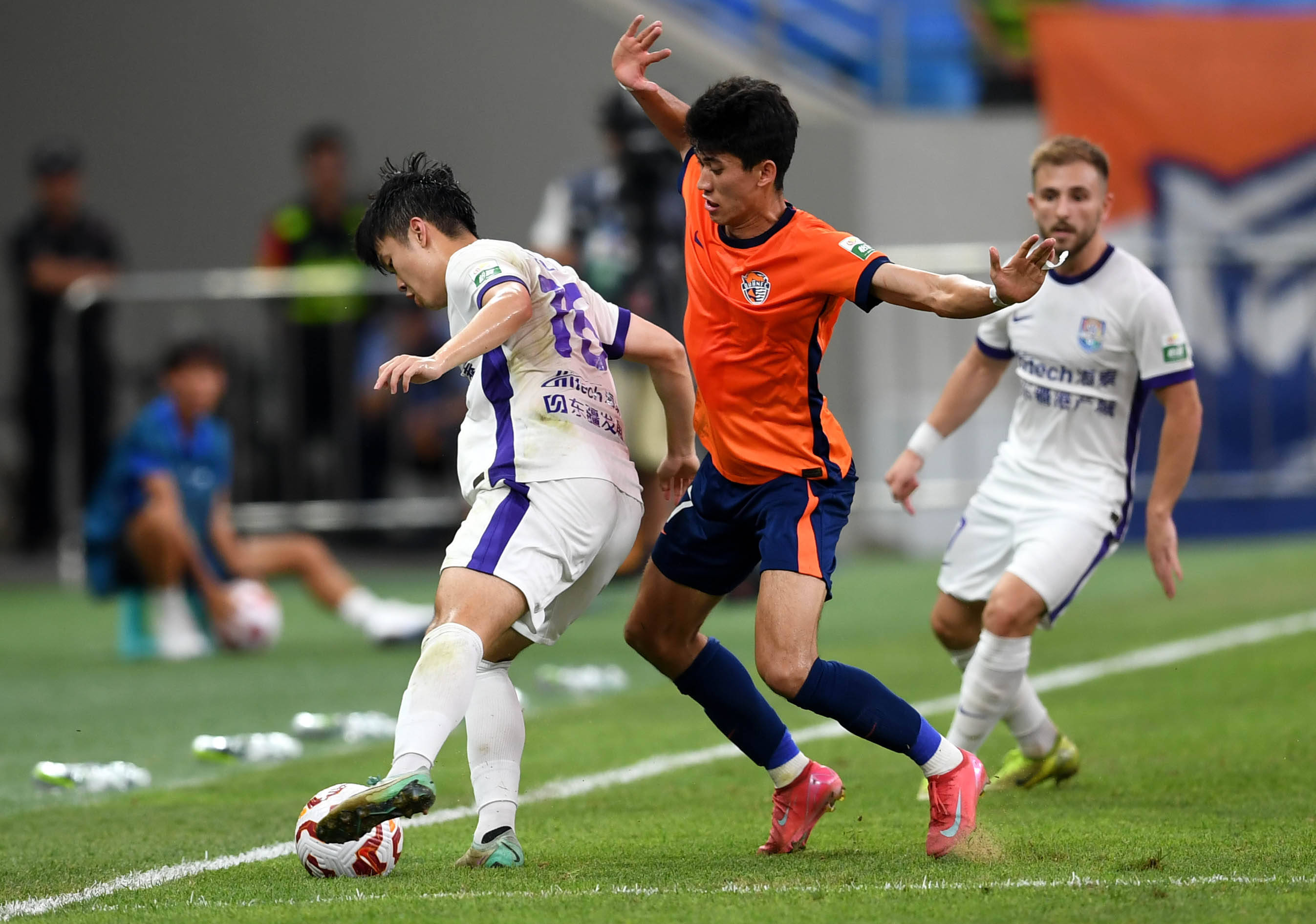 森林狼也需 森林狼也需