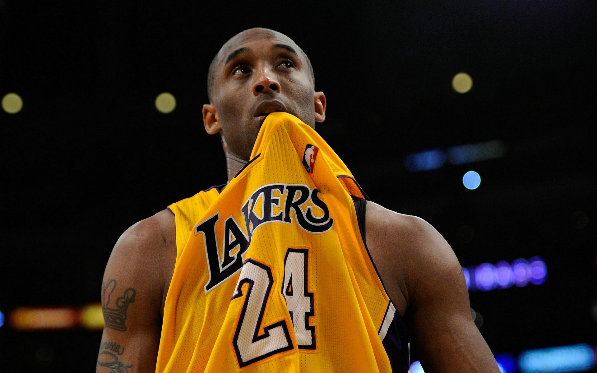 乐于见到的 乐于见到的